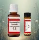 Abies Canadensis Homeopathic Remedy