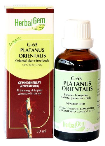 HerbalGem Gemmotherapy Platanus orientalis - 50 ml | G65
