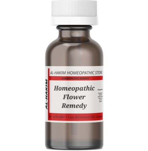 Ceratostigma Willmottiana (Cerato) Homeopathic Flower Remedy