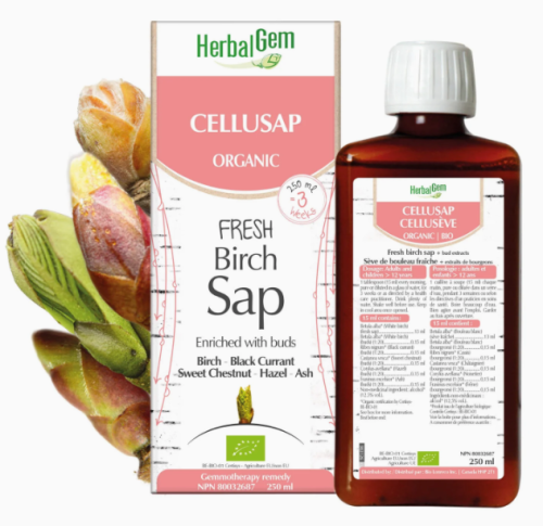 HerbalGem Gemmotherapy CELLUSAP - 250ml | G21