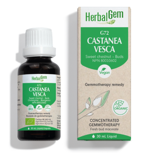 HerbalGem Gemmotherapy Castanea vesca - 50 ml | G72